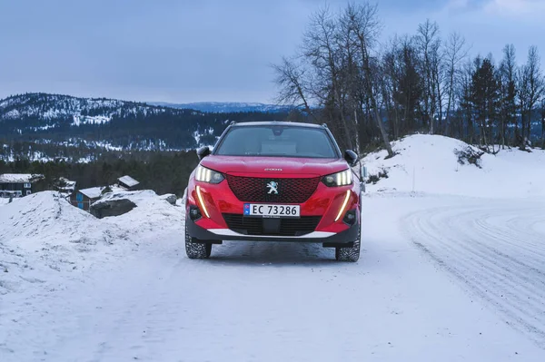Rauland Norsko Ledna 2022 Červená All Electric Motor Car Peugeot — Stock fotografie