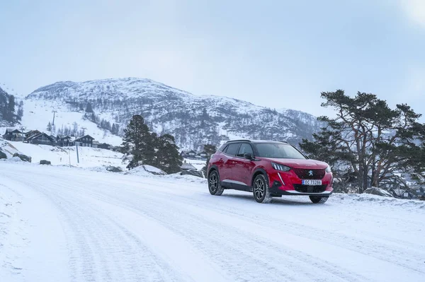 Rauland Norwegia Januari 2022 Mobil Bermotor Listrik All Electric Peugeot — Stok Foto