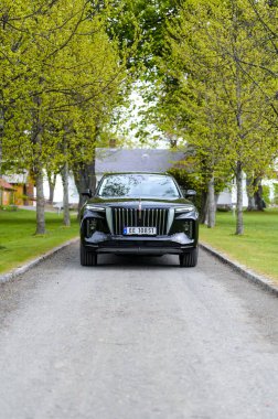 Notteroy, Norway - may 27, 2022: black electric SUV Hongqi around green foilage 