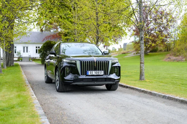 Notteroy Norway May 2022 Black Electric Suv Hongqi Green Foilage — Stok Foto