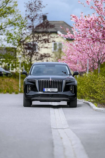 Notteroy Norway May 2022 Black Electric Suv Hongqi Green Foilage — Stok Foto