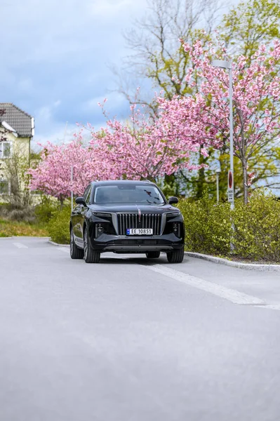 Notteroy Norway May 2022 Black Electric Suv Hongqi Green Foilage — Stok Foto