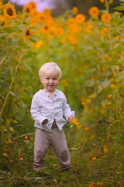 Happy Childhood Sunflower Field Baby Boy Yellow Flowers — Fotografia de Stock