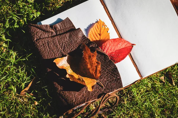 나뭇잎 오후의 햇살을 받으며 공책의 — 스톡 사진