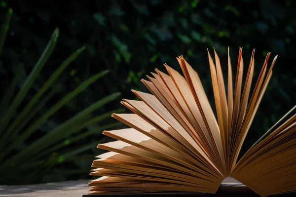 Uma Imagem Livro Aberto Contra Fundo Verde Luz Sol — Fotografia de Stock