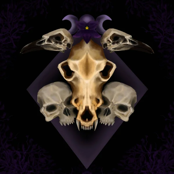 a digital painting of a wolf skull, raven skulls and humanoid skulls.