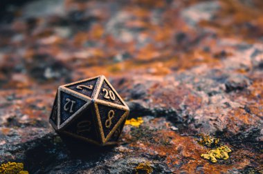 Close-up image of a metal 20-sided role-playing gaming die on a rocky surface covered with orange lichen