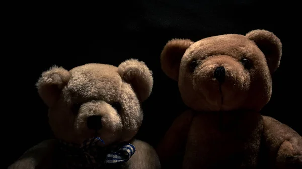 Image of two stuffed bears against a dark background.