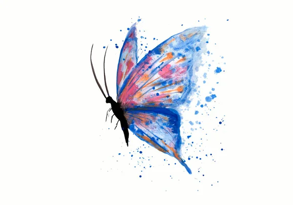 Beautiful Blue Butterfli Hand Drawn Watercolors Watercolor Blue Butterflie Paint — Stock Photo, Image