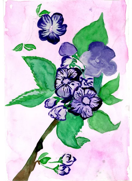 Blaue Blüten Auf Einem Ast Aquarellzeichnung Schöne Apfelbaumfarbe Mit Grünen — Stockfoto