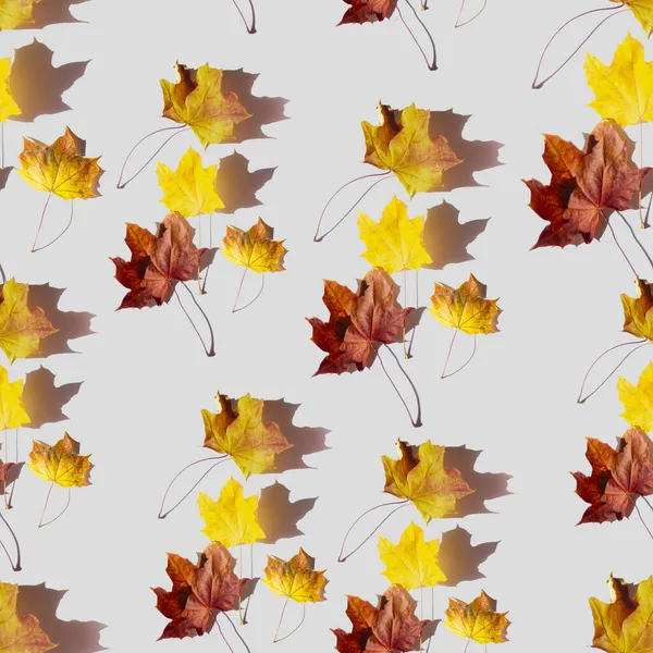 Яркий Рисунок Желтых Осенних Кленовых Листьев Желтых Красных Листьев Сером — стоковое фото