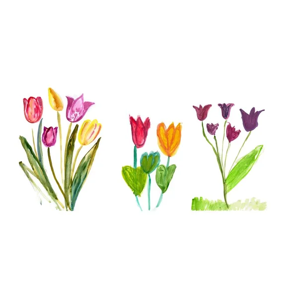 Set Tulpen Beschilderd Met Aquarellen Kindertekening Van Tulpen Met Aquarellen — Stockvector