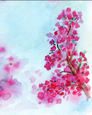 Gökyüzünün arka planında sakura çiçeği suluboya çizimi, dallarda pembe Japon kiraz çiçekleri.