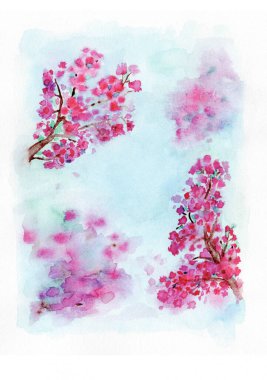 Gökyüzünün arka planında sakura çiçeği suluboya çizimi, dallarda pembe Japon kiraz çiçekleri.