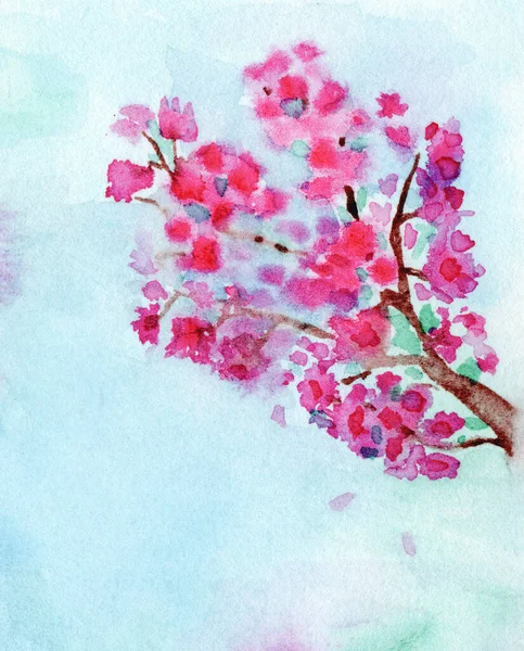 Цветение Сакуры Фоне Неба Акварельный Рисунок Розовые Цветы Японской Вишни — стоковое фото