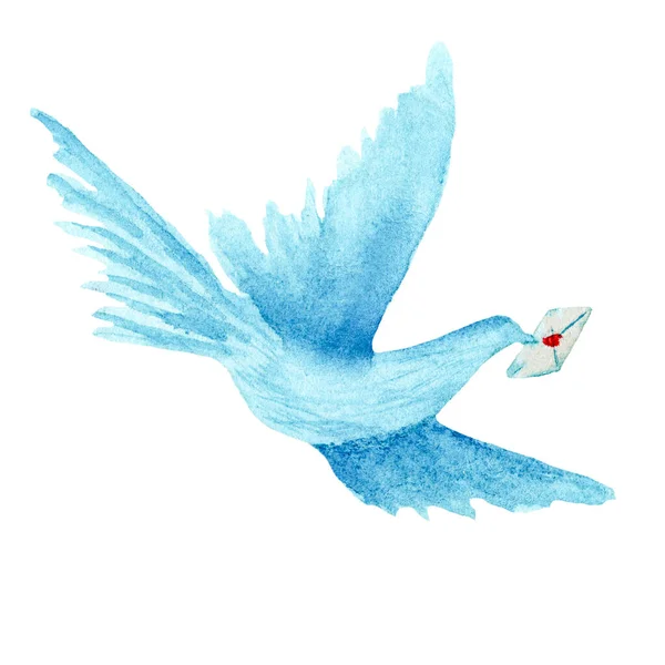 Pássaro Pomba Azul Aquarela Com Carta Envelope Ofício Voando Sobre — Fotografia de Stock
