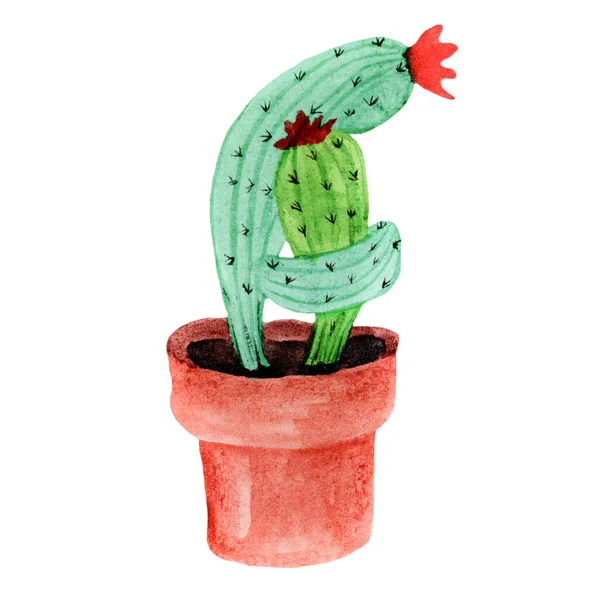 Söt Kaktuskram Akvarell Illustration Kaktus Kär Alla Hjärtans Dag Isolerad — Stockfoto
