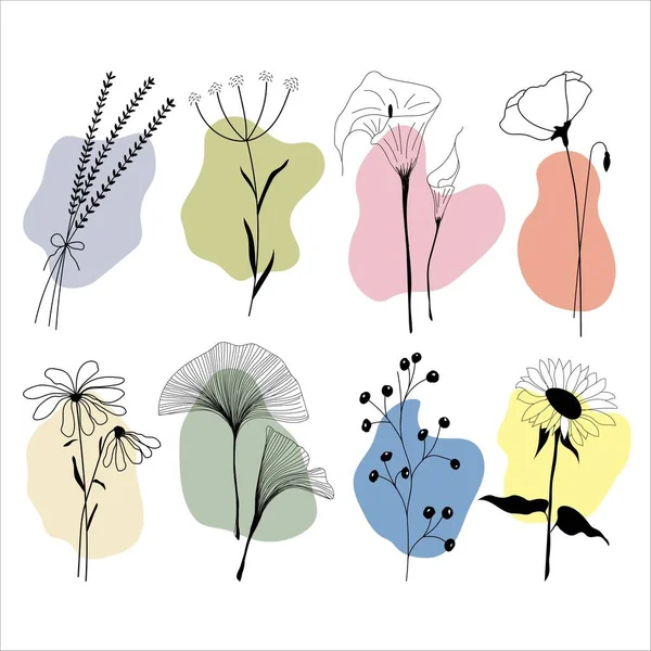 Лінійний Мистецький Набір Різних Квітів Різнокольоровими Абстрактними Плямами Різноманітні Квіти — стоковий вектор