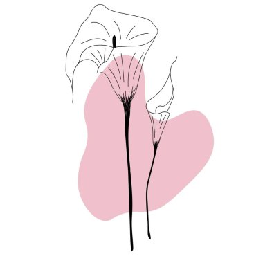 Calla çiçek serisi sanat el yazısıyla modern moda tarzında. Minimalist modern çizgi sanatı. Parmak izi, güzellik ve moda için soyut pembe şekilli bir çiçek. vektör illüstrasyonu