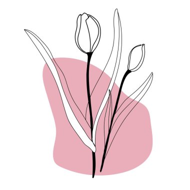 Çiçek laleleri modern moda tarzında el yazısıyla sergileniyor. Baskı, güzellik ve moda için soyut pembe şekilli arka plana sahip minimalist modern çizgi sanatı çiçeği. vektör illüstrasyonu