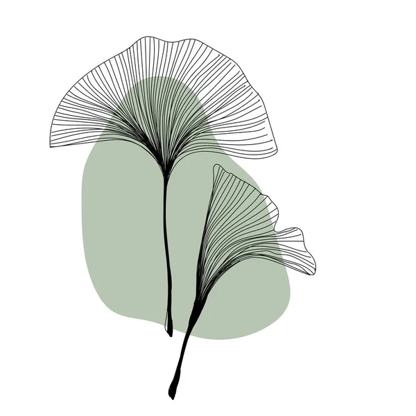 Bitki Bitkisi Ginkgo Serisi Sanat Yazısıyla Modern Moda Tarzında Baskı — Stok Vektör