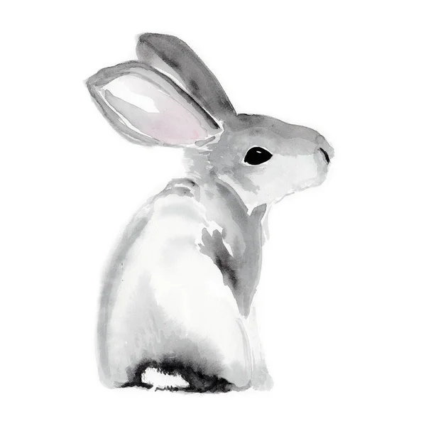 Aquarell Kaninchen Darstellung Des Hasen Mit Großen Ohren Isoliert Auf — Stockfoto