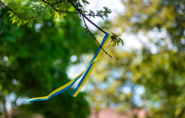 Sarı-mavi vatansever kurdele rüzgarda savruluyor, Ukrayna vatansever kurdelesi, Ukrayna bayrağının renkleri cesaret, özgürlük ve bağımsızlık mücadelesinin sembolü..