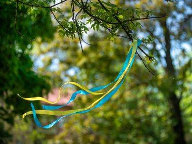 Sarı-mavi vatansever kurdele rüzgarda savruluyor, Ukrayna vatansever kurdelesi, Ukrayna bayrağının renkleri cesaret, özgürlük ve bağımsızlık mücadelesinin sembolü..