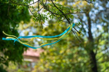 Sarı-mavi vatansever kurdele rüzgarda savruluyor, Ukrayna vatansever kurdelesi, Ukrayna bayrağının renkleri cesaret, özgürlük ve bağımsızlık mücadelesinin sembolü..