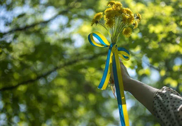 Sarı-mavi karahindiba demetinde vatansever kurdele, Ukrayna 'nın güneşte çiçekli kurdelesi, Ukrayna bayrağının renkleri cesaret, özgürlük ve bağımsızlığın sembolü..