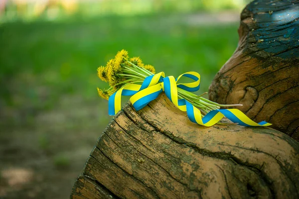 Ukrayna vatansever kurdelesi bir buket karahindiba, sarı ve mavi kurdele, eski bir kütüğün üzerinde çiçekler, Ukrayna bayrağının renkleri cesaret, özgürlük ve bağımsızlığın sembolü.