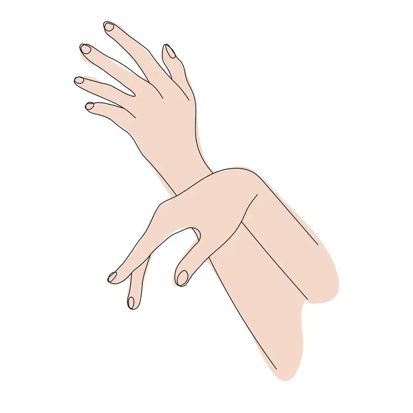 Красивые Женские Руки Европейской Расы Красивые Руки Позирует Изолированы Белом — стоковый вектор