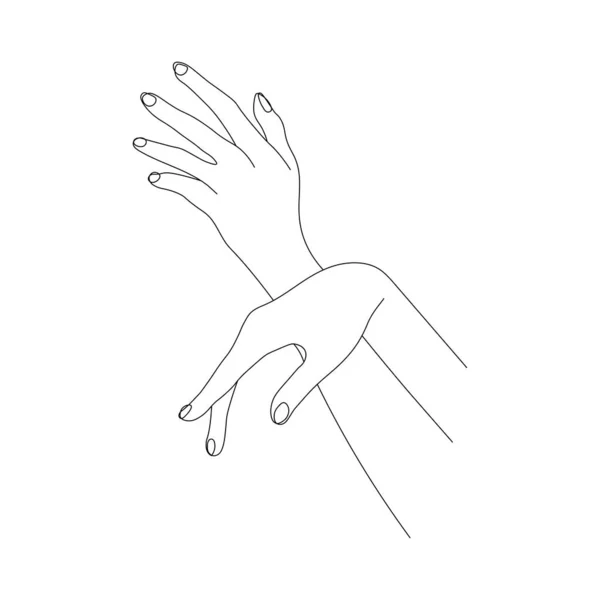 Umrisse Schöner Weiblicher Hände Schöne Handpositionen Isoliert Auf Weißem Hintergrund — Stockvektor