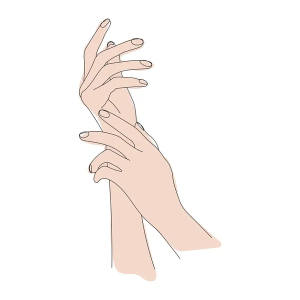 Гарні Жіночі Руки Європейської Раси Гарні Руки Ізольовані Білому Фоні — стоковий вектор