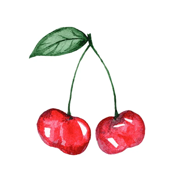 在枝条水彩画上的两个樱桃 用于白色背景的设计 新鲜樱桃水彩画 — 图库照片