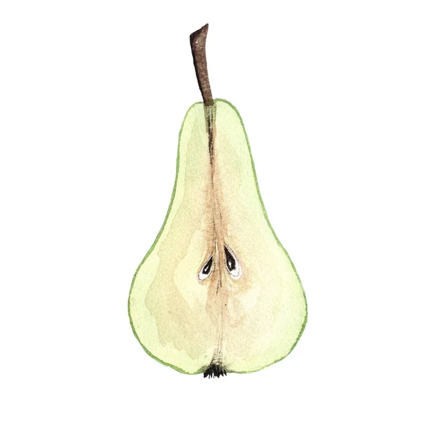 Poire Coupée Aquarelle Pour Conception Isolée Sur Fond Blanc Croquis — Photo