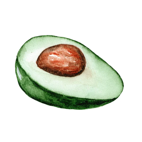 Acquerello Mezzo Avocado Verde Con Osso Disegno Isolato Sfondo Bianco — Foto Stock