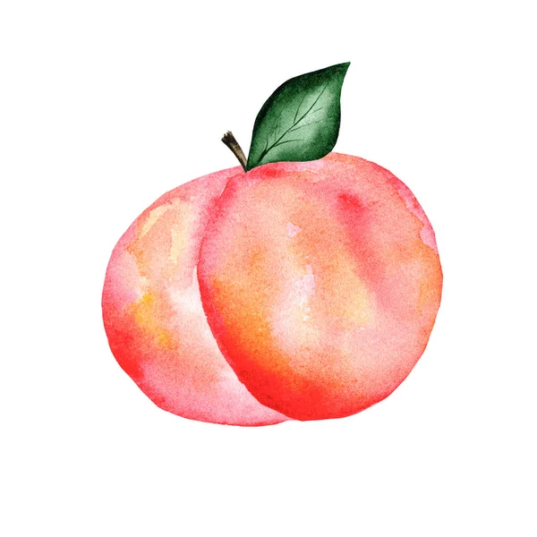 白を基調としたデザインのための葉と水彩ジューシーな桃 熟した桃の水彩スケッチ 健康的な食品のコンセプト — ストック写真