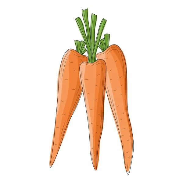 Ramo Zanahorias Estilo Dibujos Animados Ramo Zanahorias Aisladas Sobre Fondo — Vector de stock