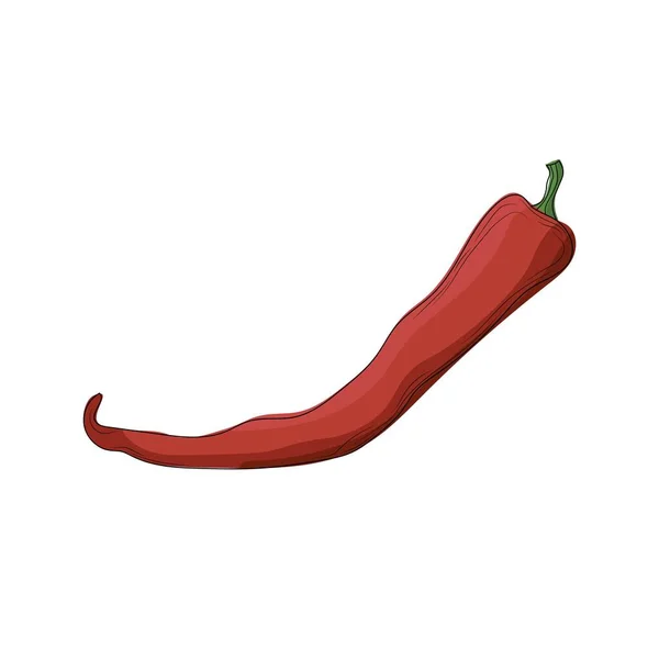 Hot Red Chili Cartoon Stil Hot Red Chili Isoliert Auf — Stockvektor