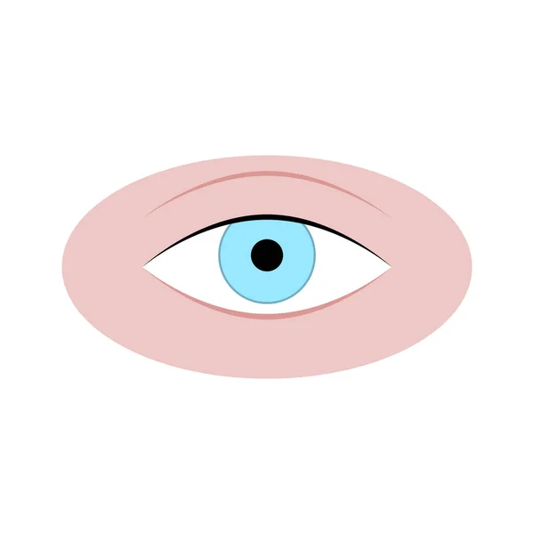 Human Eye Isolated White Eye Adult Attractive Natural Eyeball Cornea — Stock Vector