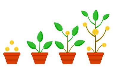 Invest money and grow capital, money tree growth, pick financial harvest. Vector illustration. First capital profit, gold savings, deposit currency, bank invest, isolated strategy, coin care