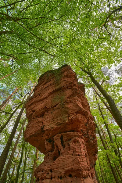 Ένα Κόκκινο Ψαμμίτη Βράχους Για Την Περιοδεία Στο Geiersteine Κοντά — Φωτογραφία Αρχείου