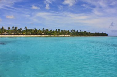 Karayip tropikal sahilinde Dominik Cumhuriyeti 'nde ahşap evleri olan palmiye ağaçları. Tatil arka planı, güzel turkuaz su, su manzarası.