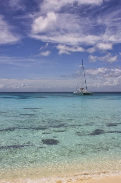 Катамаран Бирюзовых Водах Карибского Моря Ощущение Бакарди — стоковое фото