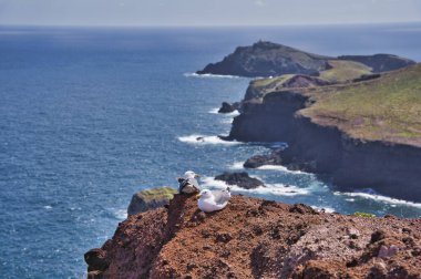 Ponta de Sao Lourenco, Madeira, Portekiz. Yeşil manzaralı güzel bir dağ manzarası, uçurumlar ve Atlantik Okyanusu. Aktif yaz yürüyüşü sahnesi. Seyahat tatili geçmişi