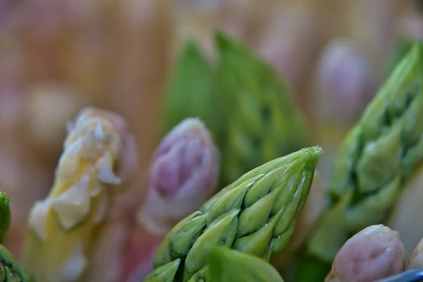 New Harvest German White Green Asparagus Bunch Raw Green White — Stock Photo, Image