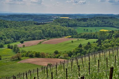 Kraichgau manzarası, Almanya 'nın Toscana' sı, Mayıs ayında Eichelberg, Oestringen 'e bakıyor.