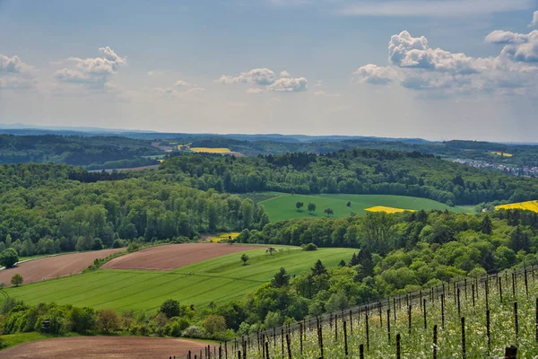 Kraichgau manzarası, Almanya 'nın Toscana' sı, Mayıs ayında Eichelberg, Oestringen 'e bakıyor.