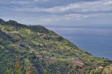 Portekiz 'in Madeira Adası' ndaki Porto Moniz ve Seixal yakınlarında güzel bir kıyı manzarası.